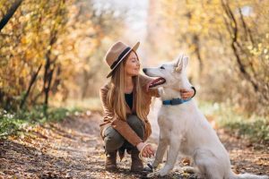 ردیاب سگ ردیاب گربه ردیاب حیوانات